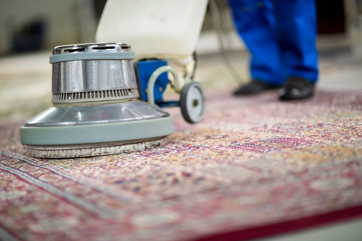 How Often Should I Clean My Rug?